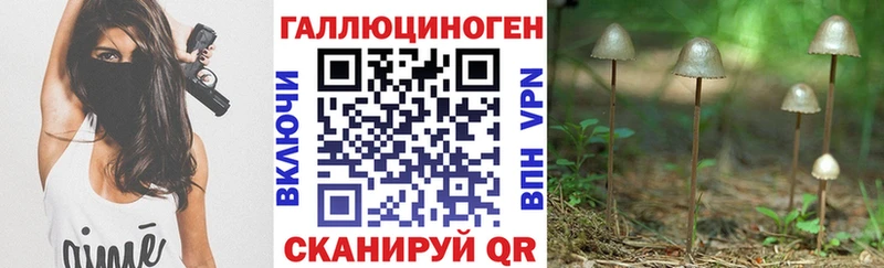 Купить где  Железногорск  Псилоцибиновые грибы Psilocybe 